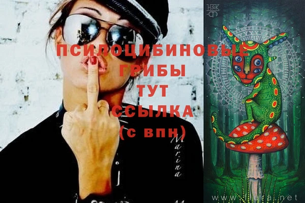 шишки Верхний Тагил